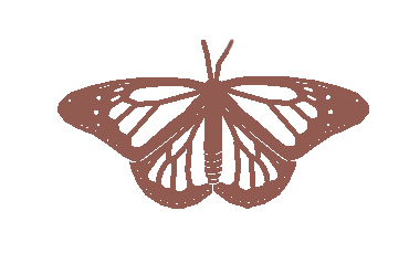 Euclid Manor butterfly